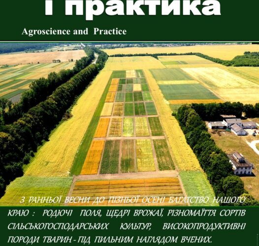 VOLUME 1 Issue 3